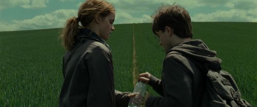 Click to view full size image
==============
RdM1-Potterish7430.jpg RdM1-Potterish7430.jpg