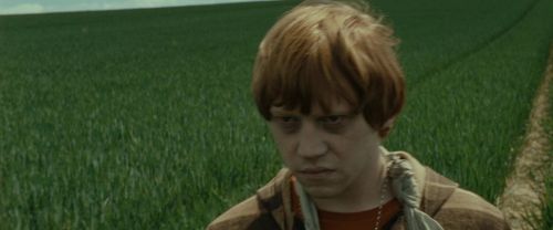 Click to view full size image
==============
RdM1-Potterish7436.jpg RdM1-Potterish7436.jpg