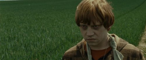 Click to view full size image
==============
RdM1-Potterish7437.jpg RdM1-Potterish7437.jpg