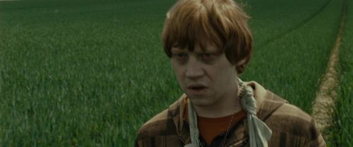 RdM1-Potterish7439.jpg