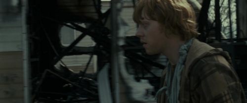 Click to view full size image
==============
RdM1-Potterish7478.jpg RdM1-Potterish7478.jpg