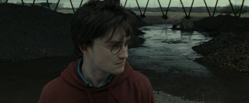 RdM1-Potterish7509.jpg