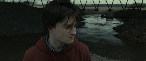 RdM1-Potterish7510.jpg