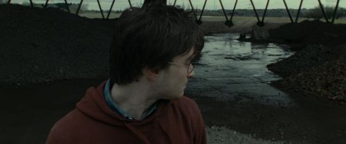 RdM1-Potterish7511.jpg
