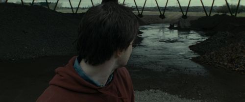RdM1-Potterish7512.jpg