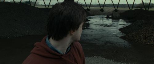 RdM1-Potterish7513.jpg