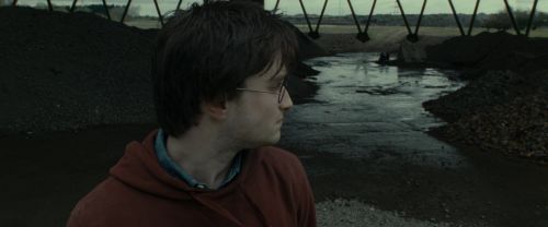 RdM1-Potterish7514.jpg