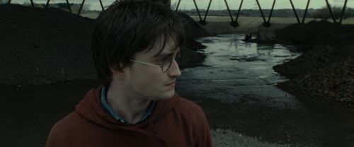 RdM1-Potterish7515.jpg