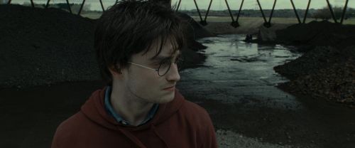 RdM1-Potterish7518.jpg