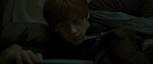 RdM1-Potterish7524.jpg