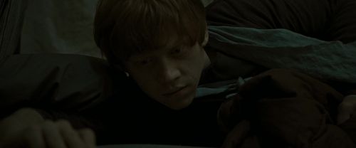 RdM1-Potterish7526.jpg