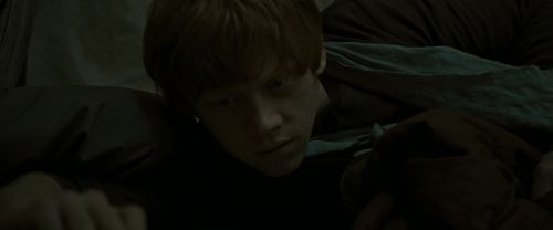 RdM1-Potterish7527~0.jpg