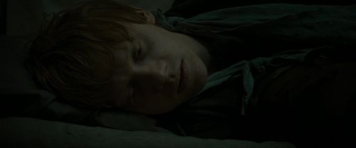 Click to view full size image
==============
RdM1-Potterish7554~0.jpg RdM1-Potterish7554~0.jpg