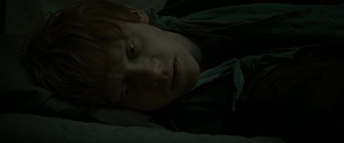 RdM1-Potterish7557.jpg