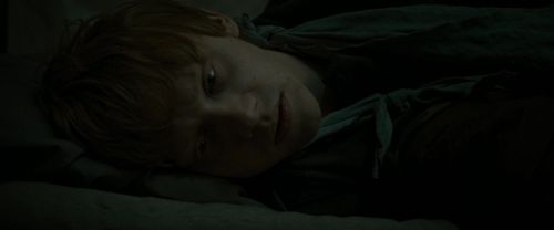 RdM1-Potterish7558.jpg