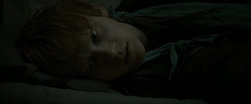 RdM1-Potterish7559.jpg