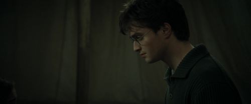 RdM1-Potterish7650~0.jpg