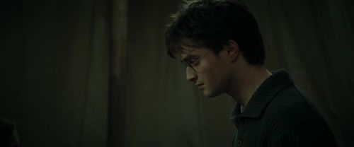 RdM1-Potterish7652.jpg