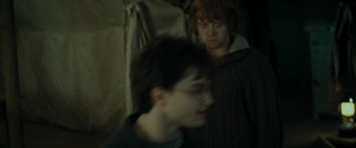 RdM1-Potterish7768.jpg
