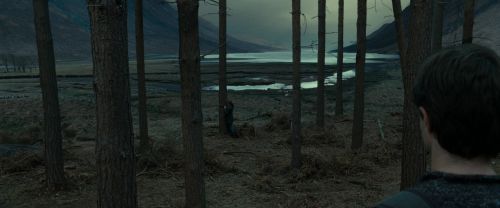 Click to view full size image
==============
RdM1-Potterish7998.jpg RdM1-Potterish7998.jpg