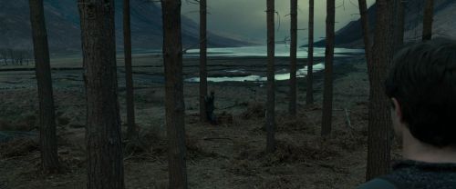 Click to view full size image
==============
RdM1-Potterish7999.jpg RdM1-Potterish7999.jpg