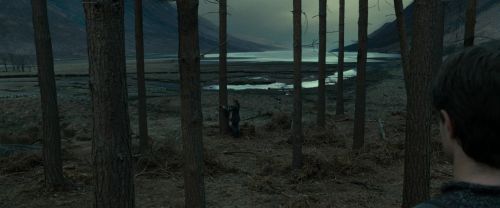 RdM1-Potterish8000.jpg