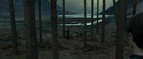 RdM1-Potterish8001.jpg