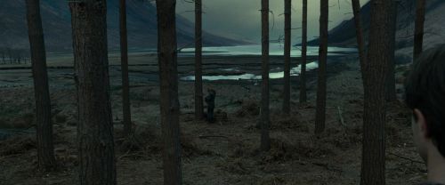 Click to view full size image
==============
RdM1-Potterish8002.jpg RdM1-Potterish8002.jpg