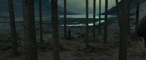 Click to view full size image
==============
RdM1-Potterish8003.jpg RdM1-Potterish8003.jpg
