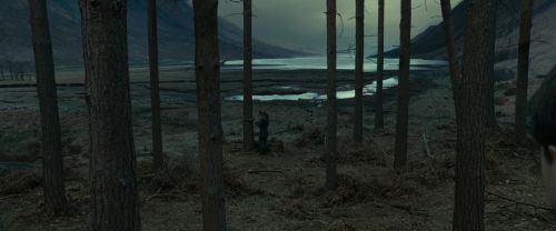 Click to view full size image
==============
RdM1-Potterish8004.jpg RdM1-Potterish8004.jpg