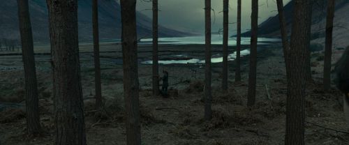 Click to view full size image
==============
RdM1-Potterish8005.jpg RdM1-Potterish8005.jpg