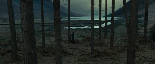 Click to view full size image
==============
RdM1-Potterish8006.jpg RdM1-Potterish8006.jpg