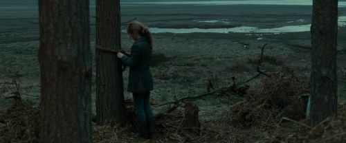 Click to view full size image
==============
RdM1-Potterish8008.jpg RdM1-Potterish8008.jpg