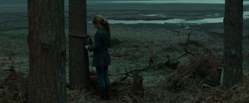 Click to view full size image
==============
RdM1-Potterish8012.jpg RdM1-Potterish8012.jpg