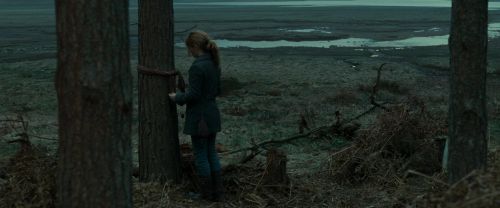 Click to view full size image
==============
RdM1-Potterish8015.jpg RdM1-Potterish8015.jpg