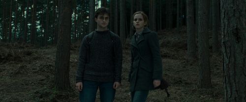 RdM1-Potterish8020.jpg