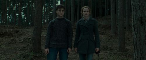 RdM1-Potterish8021.jpg