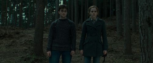 RdM1-Potterish8022.jpg