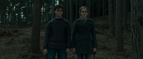 RdM1-Potterish8025.jpg