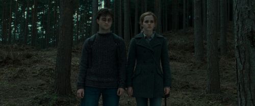 RdM1-Potterish8026.jpg