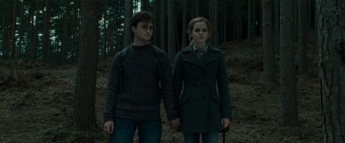 RdM1-Potterish8027.jpg