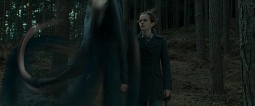 Click to view full size image
==============
RdM1-Potterish8029.jpg RdM1-Potterish8029.jpg
