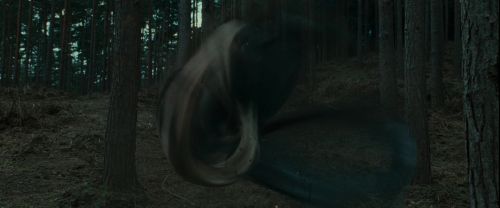 RdM1-Potterish8030.jpg