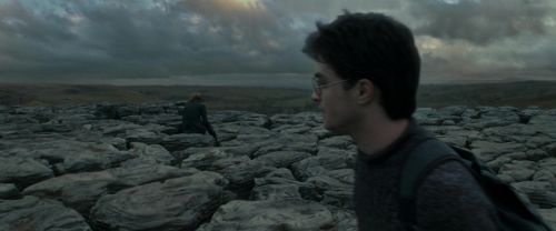 RdM1-Potterish8083.jpg