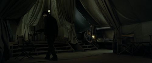 RdM1-Potterish8132.jpg