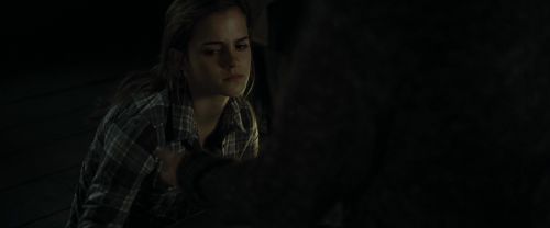 RdM1-Potterish8186.jpg