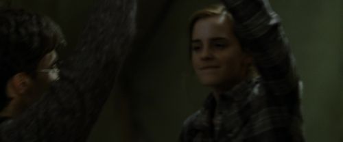RdM1-Potterish8292.jpg