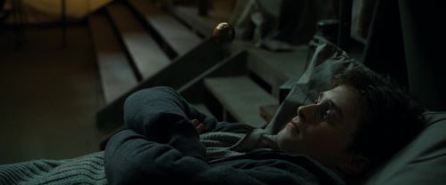 RdM1-Potterish8364.jpg