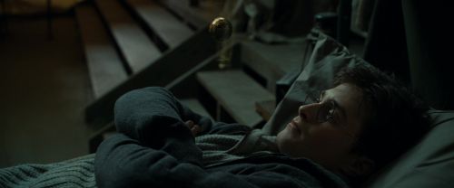 RdM1-Potterish8365.jpg