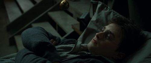 RdM1-Potterish8369.jpg